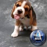 Profile Picture of Roy Kennedy (@roy-kennedy-1) on Quora