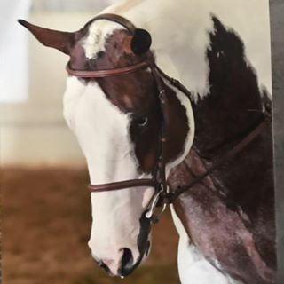 Profile Picture of Kimberly Ziegler (@kimberly.ziegler.5) on Facebook