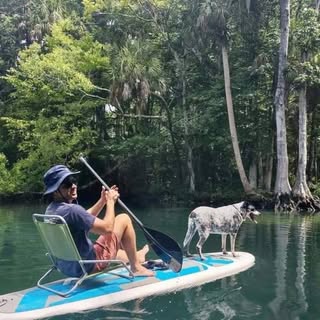 Profile Picture of Chris Noeth (@chris_noeth) on Instagram