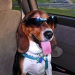 Brendan Odom Photography - Instagram Profile Picture of Brendan Odom Photography (@brendanodomphotography) on Instagram