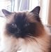 Profile Picture of Julia CupplesWilliams (@julia.cuppleswilliams) on Facebook