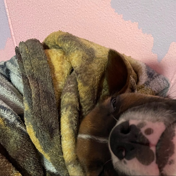 Profile Picture of Sandra Ivetic (@sivetic8) on Poshmark