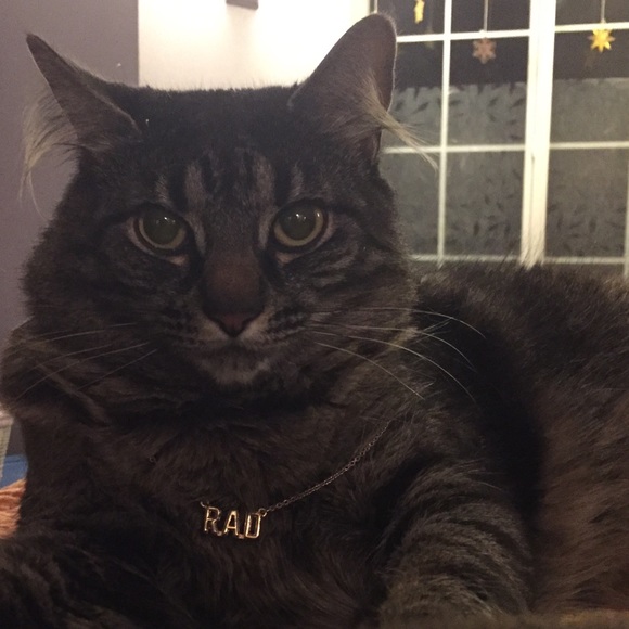 Profile Picture of Ruby Arone (@rfarone) on Poshmark