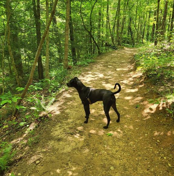 Profile Picture of Kelly Clay (@kellyclay321) on Poshmark