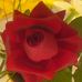 Profile Picture of Jack Schuster (@jack.schuster.33) on Facebook