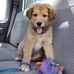 Profile Picture of Douglas Walker (@douglas.walker.73594) on Facebook
