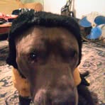 Profile Picture of Christopher Boatner (@Christopher-Boatner) on Facebook