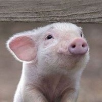 Profile Picture of Mason Hicks (@mason-hicks-20) on Quora