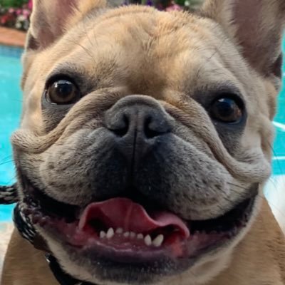 Profile Picture of Simich.L (@LucianSimich) on Twitter