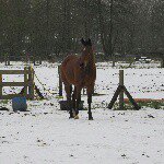 Profile Picture of Joëlla Koopman (@joella.koopman) on Instagram