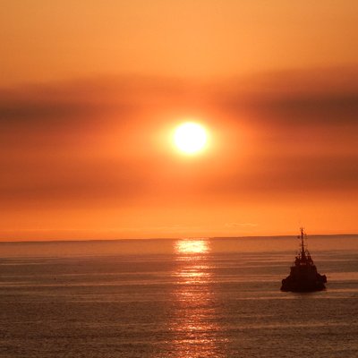 Profile Picture of Felipe Alatorre (@felipealat) on Twitter