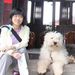 Profile Picture of Ivy Wu (@class99) on Pinterest