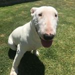 Profile Picture of King Keith Facer (@king_keith_of_fitzroy) on Instagram