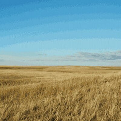 Profile Picture of Carl Gustav (@ShiloSoldier) on Twitter