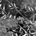 Profile Picture of Brian Cullen (@bculls_) on Instagram