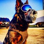 Profile Picture of Cody Skeen (@renecksoldiers3) on Instagram