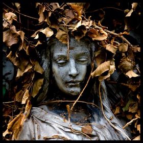 Profile Picture of Jane Auer (@odilonredon) on Pinterest