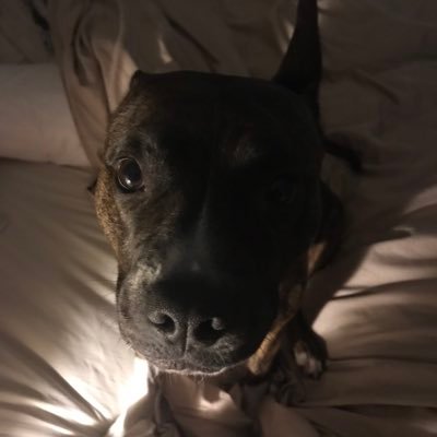 Profile Picture of Jean Maguire (@jmm331) on Twitter