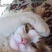 Profile Picture of Barbara Pietruszewski (@barbara.pietruszewski) on Facebook