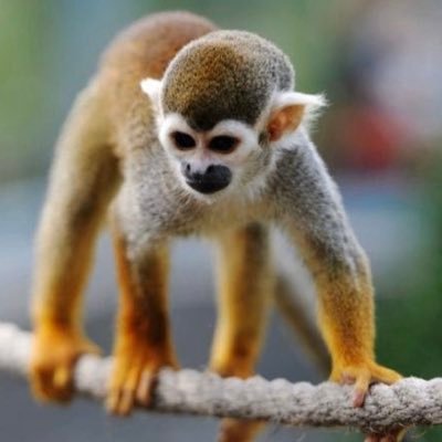 Profile Picture of Alex Pitre (@Alex_Pitre15) on Twitter