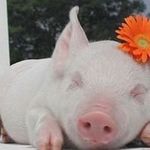 Profile Picture of Alexander Eckmann (@alexandereckmann) on Instagram