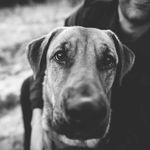 Profile Picture of Adam Ziegler (@baddadmtb) on Instagram