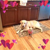 Profile Picture of Nancy Olson (@nancy-olson-43) on Quora