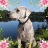 Profile Picture of suewainwright872 (@suewainwright872) on Tiktok