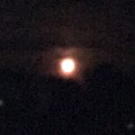 Profile Picture of Carson Spangler (@cspangler229) on Instagram