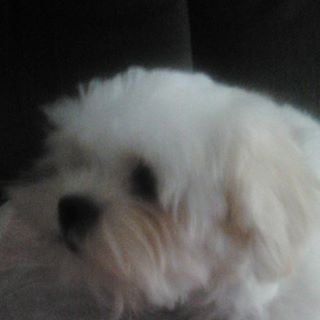 Profile Picture of Jean Aerts (@jean.aerts.58) on Facebook