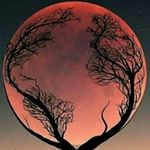 Anastacia rodriguez - Instagram Profile Picture of Anastacia rodriguez (@anastasia1234393) on Instagram