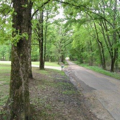 Profile Picture of Dick Maynard (@hatshooter) on Twitter