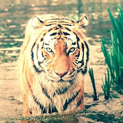 Profile Picture of R Good (@rgood2836) on Youtube