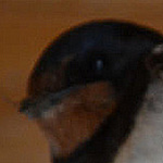 Profile Picture of Edward Cooper (@Edward PT) on Flickr