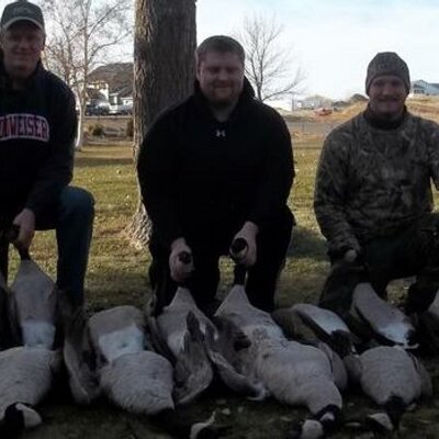 Profile Picture of Alexander C Dahl (@A_C_Dahl) on Twitter