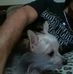 Profile Picture of Brent Let Endre (@brent.letendre.5099) on Facebook