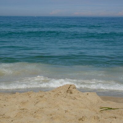 Profile Picture of Philip Fournier (@philip_fournier) on Twitter