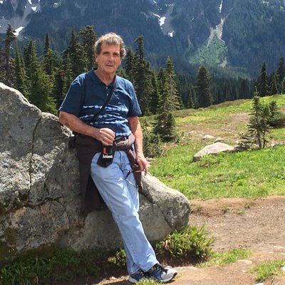 Profile Picture of Brian Vito (@BrianvvvVito) on Twitter