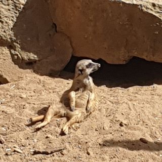 Profile Picture of Florian Kahle (@flobo.flobo.5) on Facebook