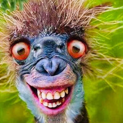 Profile Picture of Bacon_in_Yass (@Dennis59798513) on Twitter