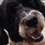 Profile Picture of Gary Bloom (@bloom9930) on Instagram