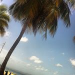 Profile Picture of Tyree Demaionewton (@tyreedemaionewton) on Instagram