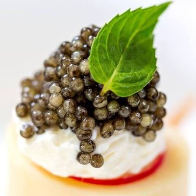 Profile Picture of Marshallberg Farm (@MarshallbergF) on Twitter