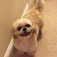 Lisa Platt - Quora Profile Picture of Lisa Platt (@lisa-platt-8) on Quora