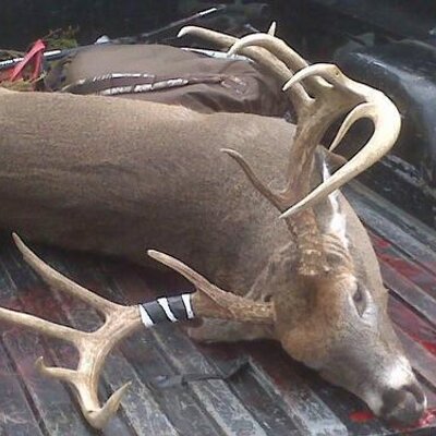 Profile Picture of Brian Adkisson (@BrianAdkisson1) on Twitter