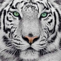 Profile Picture of Lourdes Marie Halliday (@lourdes-marie-halliday) on Quora