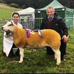 Profile Picture of Upcott Texels (@upcotttexels) on Instagram