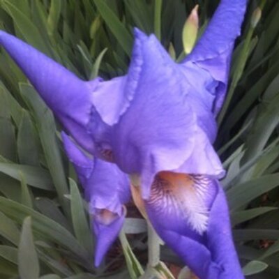 Gretta Smith - Twitter Profile Picture of Gretta Smith (@gsfancypants) on Twitter