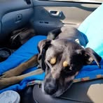 Profile Picture of Jeremy Steinman (@jeremy.steinman.2025) on Facebook