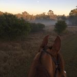 Profile Picture of Claudia Reid (@creid1212) on Instagram